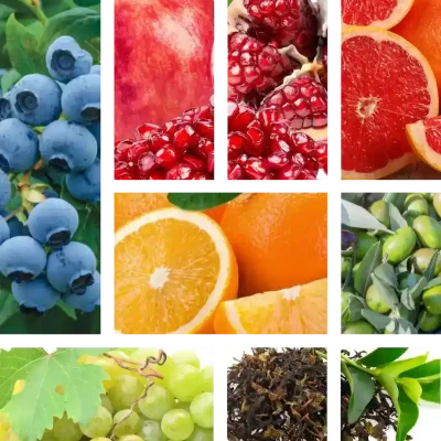Frutas FAQ_2 copy